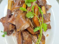 -日日香卤鹅饭店·澄海狮头鹅(澄海店)