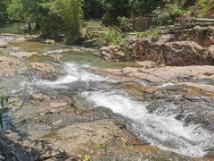 -广州白江湖森林公园