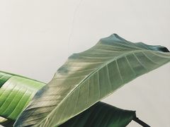 大堂-常识咖啡common sense(春熙路店)
