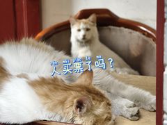 -李叔同故居纪念馆