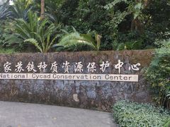 -深圳仙湖植物园