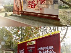 -西苑公园