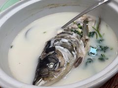 -紫藤园·天目湖大鱼头(南山竹海店)