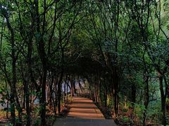 -惠山国家森林公园