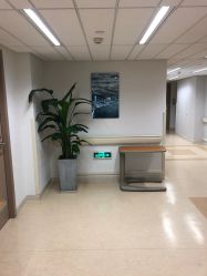 -杭州贝瑞斯美华妇儿医院·早孕·产检·儿科