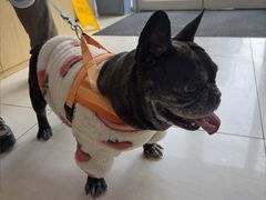 -美联众合动物医院·24h京西诊疗中心