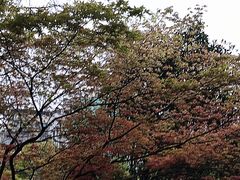 -白沙古井