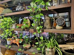 -可可大虾武汉土菜大排档(万松园1店)