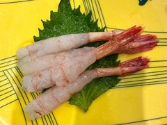 甜虾刺身-京樽回転寿司(奥林匹克店)