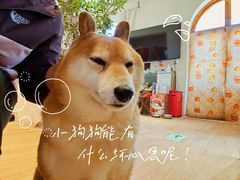 -小时光咖啡馆(开森度假森林店)