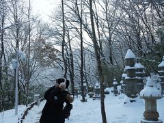 -少华山国家森林公园