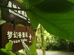 -呀诺达热带雨林