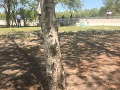 -哈尔滨大剧院