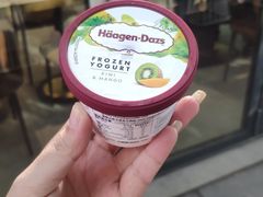 -哈根达斯(武汉天地店)