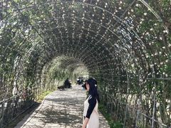-秀丽东方