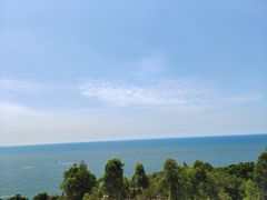 -广东惠东海龟国家级自然保护区