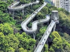 -福道
