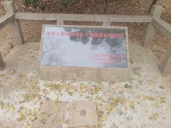 -上海佘山国家森林公园天马山园