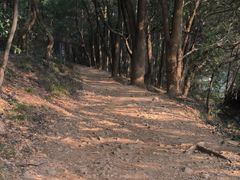-惠山国家森林公园