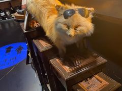-杂咖zacup(领展中心城店)