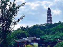 -顺峰山公园