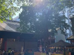-大佛寺高级素食自助餐厅