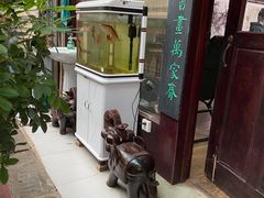 -武汉花鸟市场