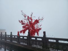 -句容茅山景区