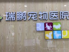 -瑞鹏宠物医院犬猫全科(真大分院)