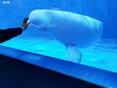 -多彩贵州城极地海洋世界