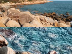 -广东惠东海龟国家级自然保护区