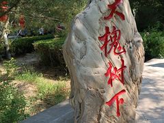 -大槐树寻根祭祖园