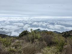 -东天目山风景区