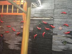 -欠火锅·水牛毛肚·团建聚餐·生日宴(何山路店)