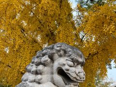 -北京石刻艺术博物馆(五塔寺)