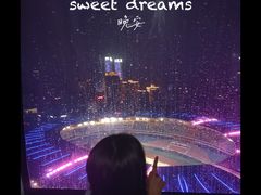 -星城之眼摩天轮