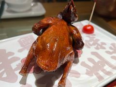-大鸽饭(体育西路店)