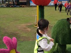 -武汉紫薇都市田园