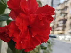 -西北湖绿化广场