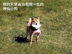 -哈尔滨大剧院