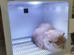 -沐沐家宠物(成寿寺店)