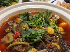 -高坎一品甲鱼庄(两河店)