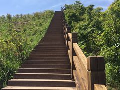 -瑞安圣井山景区