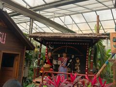 -呀路古热带植物园