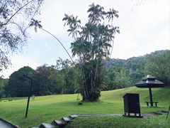 -槟城植物园