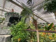 -南宫五洲植物乐园