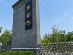 -莲花池公园