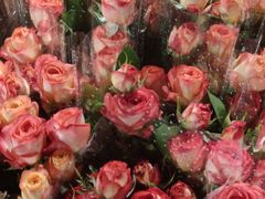 -循礼门鲜花花市(武汉循礼门店)