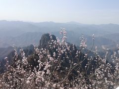 -狼牙山风景区
