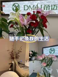 -帝迈造型